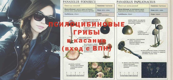 бошки Балахна