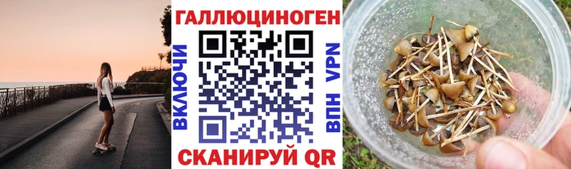 Галлюциногенные грибы Psilocybe  где найти наркотики  Горбатов 